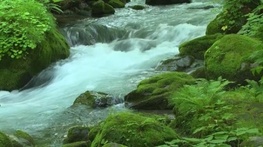 ► River Flow Live WallPaper截图1