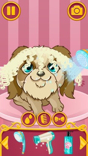 Pet Hair Stylist截图5