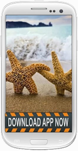 Starfish Wallpapers截图2