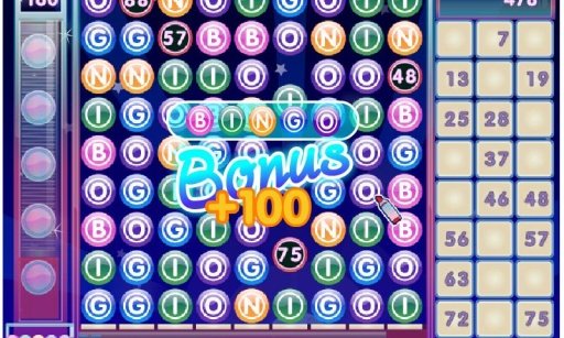 Bingo Deluxe截图2