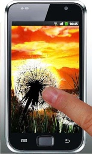 Dandelion Sunset LiveWallpaper截图3