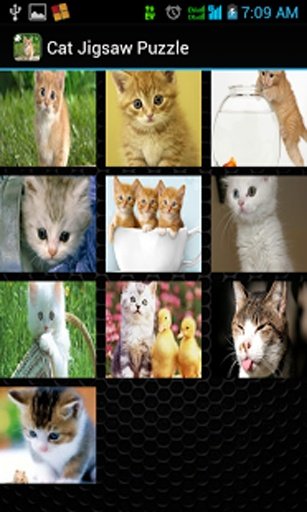 Cat Jigsaw Puzzle截图3