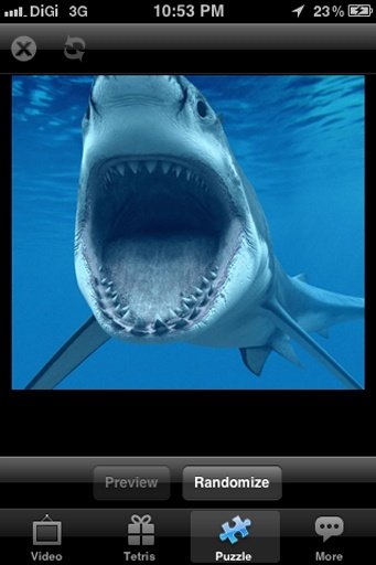 Hunger Shark Surf截图4