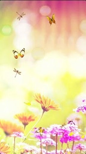 Butterflies &amp; Flower Wallpaper截图2