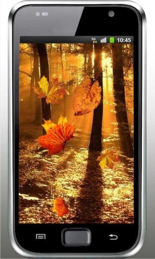 Autumn Sunrise live wallpaper截图8