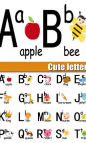 102_cfb1644a54db7eb768004011c92105db.jpeg
