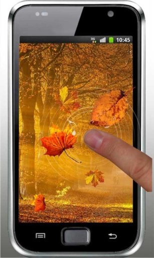 Autumn Sunrise live wallpaper截图6