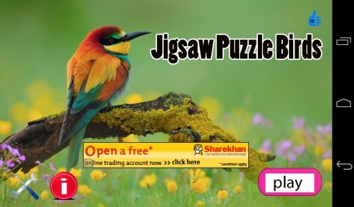 Jigsaw Puzzle Birds截图8