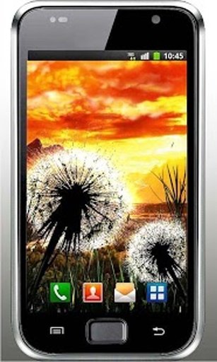 Dandelion Sunset LiveWallpaper截图6