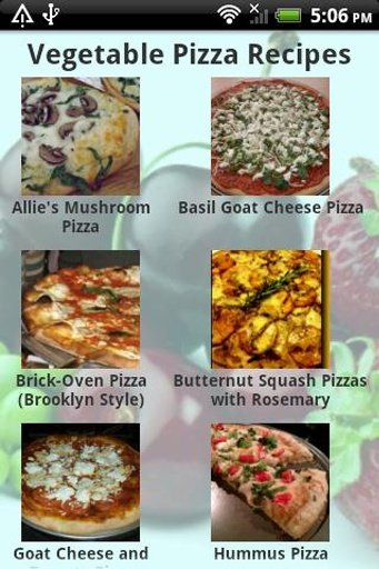 Pizza Recipes截图6