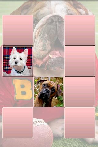 Dogs. Memory Classic.截图1