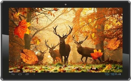 Autumn Sunrise live wallpaper截图7