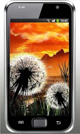 Dandelion Sunset LiveWallpaper截图2