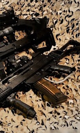 FBI Weapons HD Wallpaper截图1