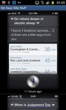 Siri Says Silly Stuff截图