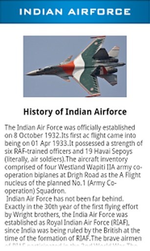 Indian AirForce截图5