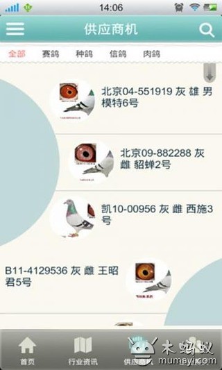 中国信鸽门户截图3