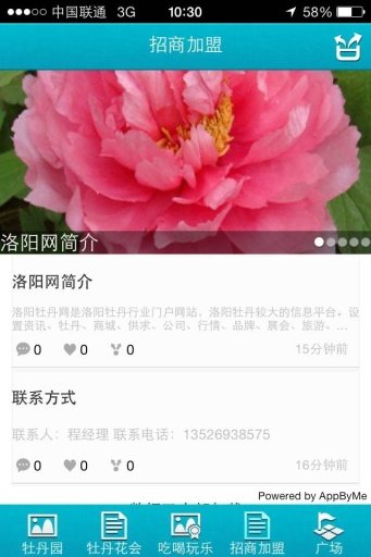 洛阳牡丹网截图1