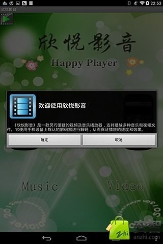 欣悦影音播放器截图2