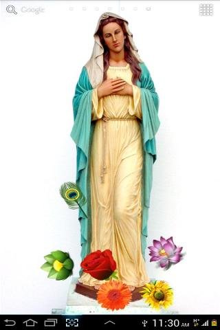 Virgin Mary截图5