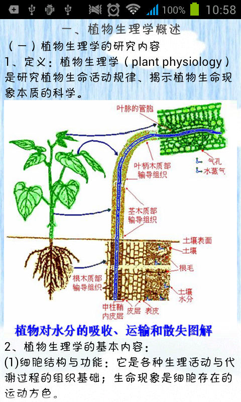 植物生理学考研笔记截图2