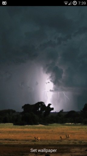 Real Lightning Storm截图4
