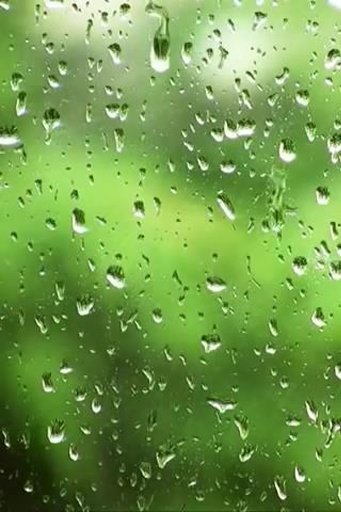 Rain drops screen Live Wallp截图1