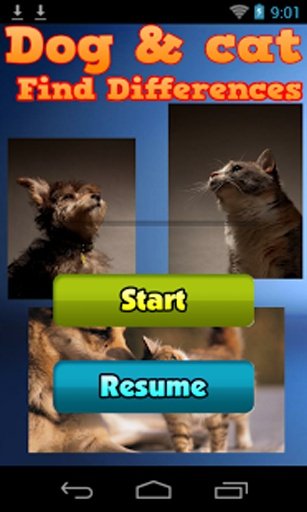 Find Differences: Dogs &amp; Cats截图4
