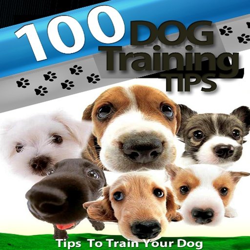 Dog Training 100 Tips + Videos截图8