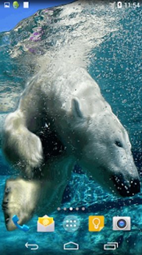 Polar Bear Live Wallpaper截图1