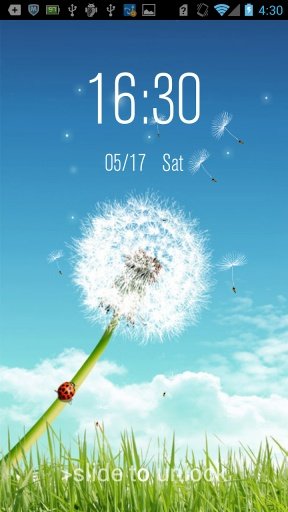 Dandelion Lock截图5