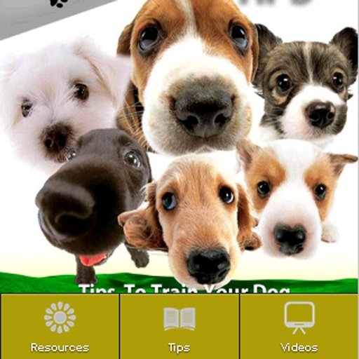 Dog Training 100 Tips + Videos截图1