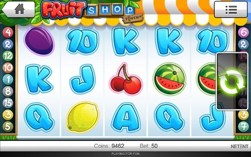 Fruit Slot Machine Pokies Slot截图2
