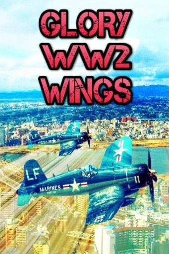 Glory WW2 Wings截图5