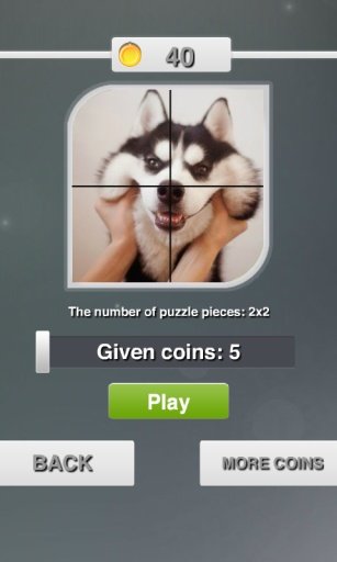 Pet Sliding Puzzle: Free截图2