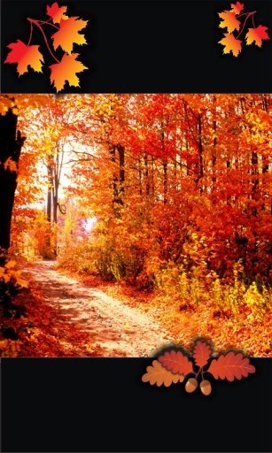 Autumn Top Free Live Wallpaper截图3