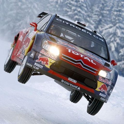 WRC World Rally Car Racing截图5