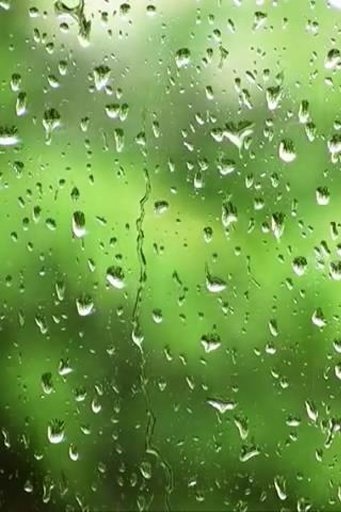 Rain drops screen Live Wallp截图6