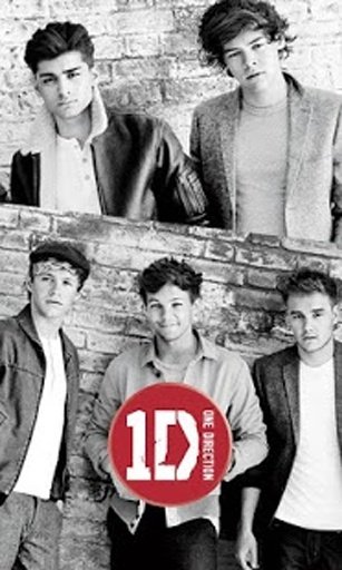 1D Club Puzzle Game截图1