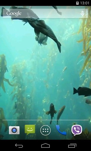 Aquarium HD Live Wallpaper截图4