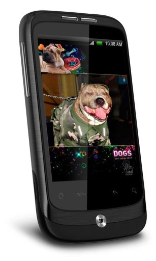 Sweet Dogs HD Live Wallpaper截图2