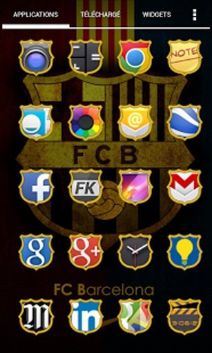 FOOT Icon pack Apex Nova ADW截图4