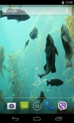 Aquarium HD Live Wallpaper截图3