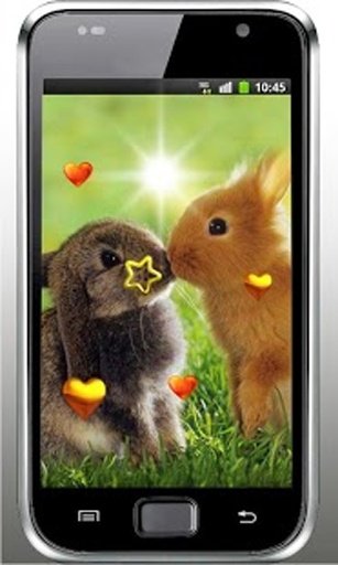 Valentine Rabbits HD LWP截图4