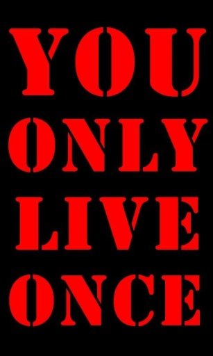 Yolo 2 Live Wallpaper截图2