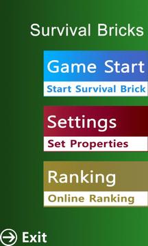 Survival Bricks (2P)截图