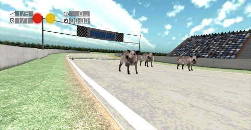 Animal Racing: Pig截图1