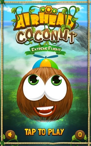 Airhead Coconut Extreme Flight截图3