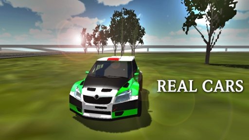 City Rally Car Simulator截图5