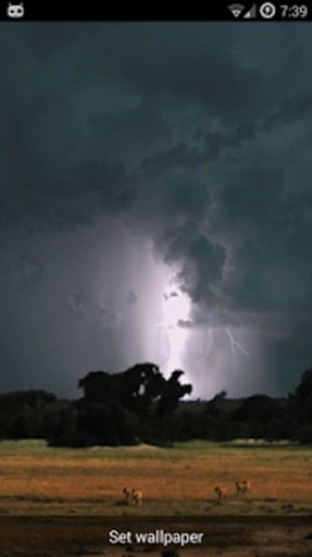 Real Lightning Storm截图3